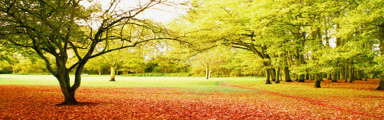 New England Colors