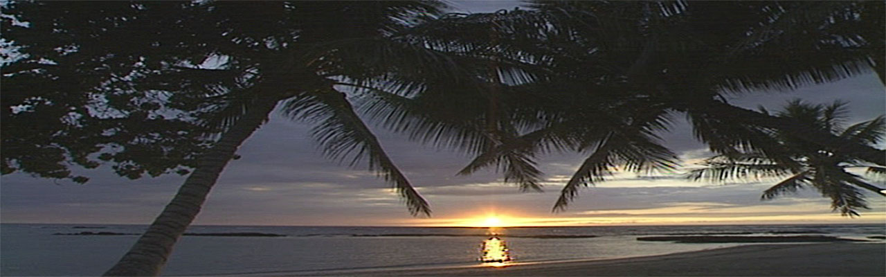 Tropical Sunset