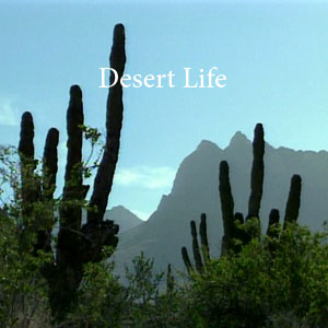 Desert Life Stress Management DVD