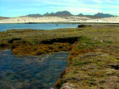 La Paz, Baja