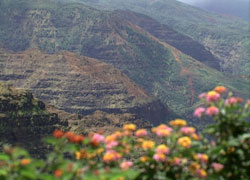 Hawaiian Mountains